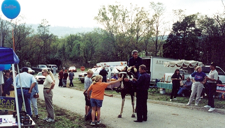 Drennon Days 2002