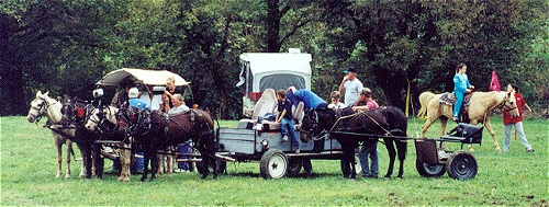 Drennon Days 2002 - Bottomland Events